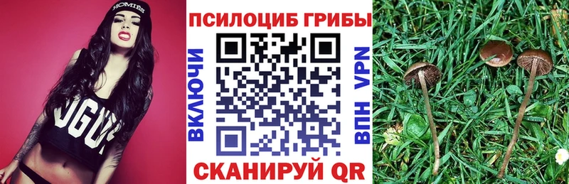 наркота  Протвино  Галлюциногенные грибы мицелий 